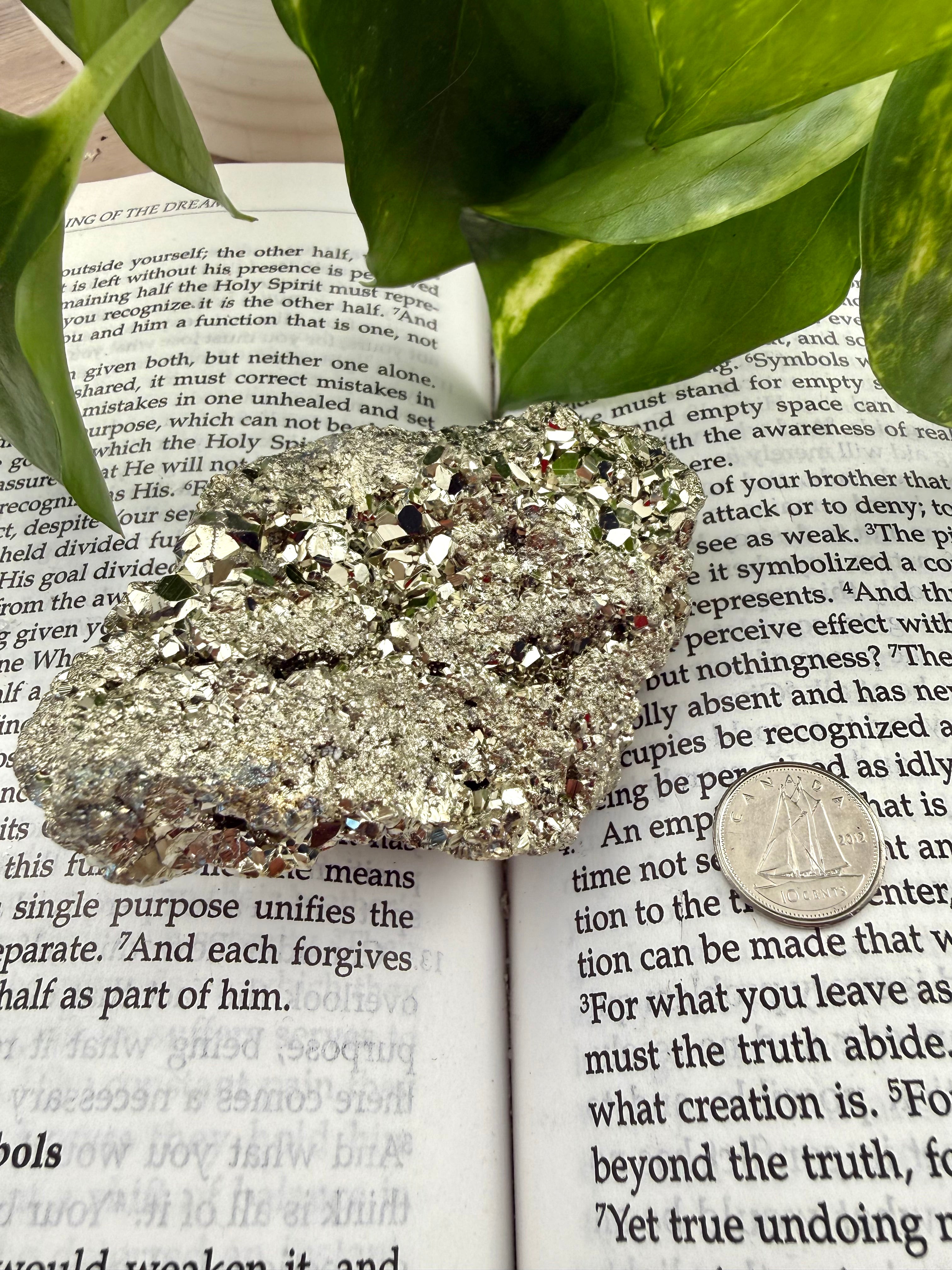Pyrite on an open book with leaves and a dime to show scale 