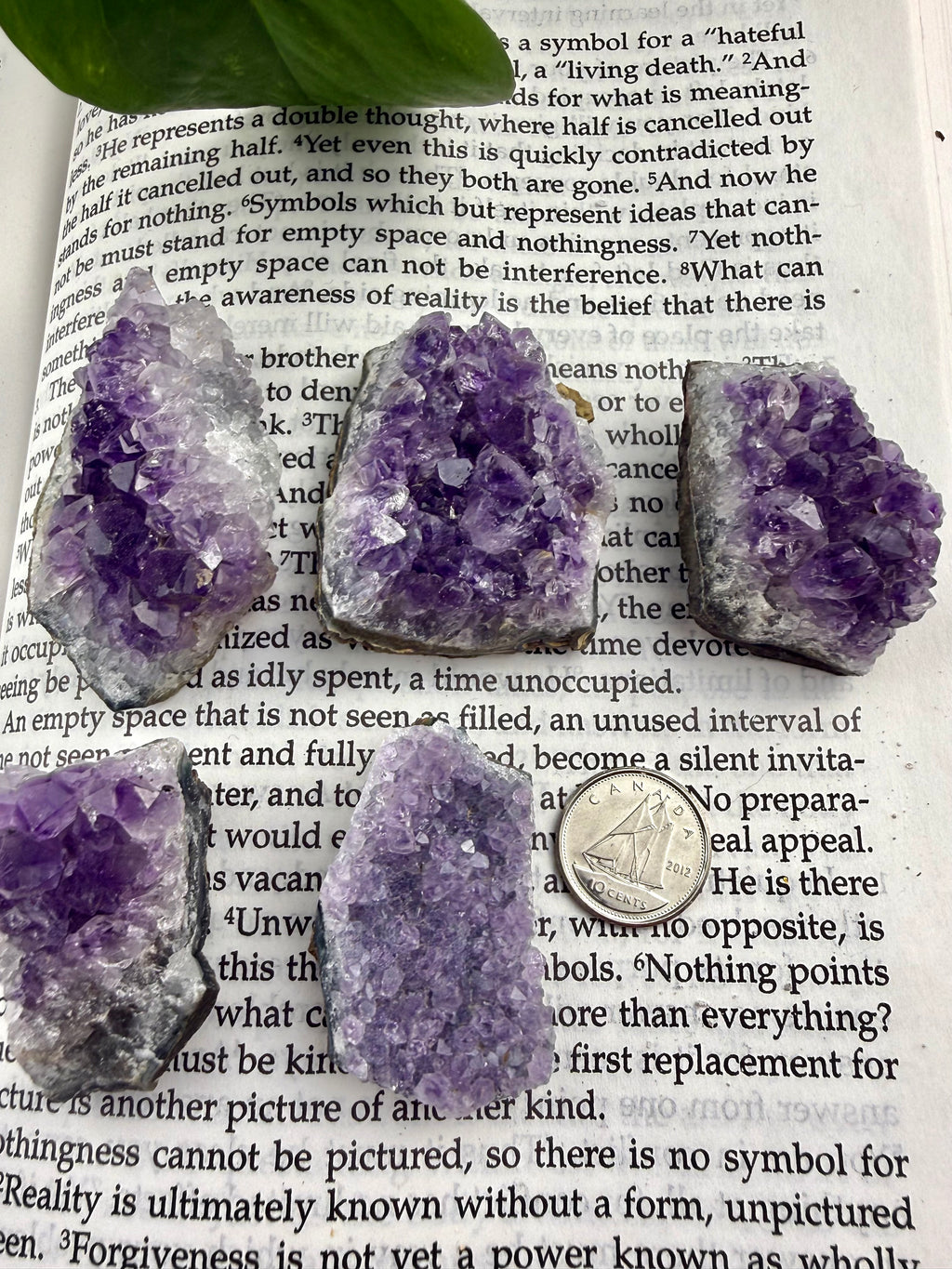 5 amethyst mini clusters with dime to show sizing