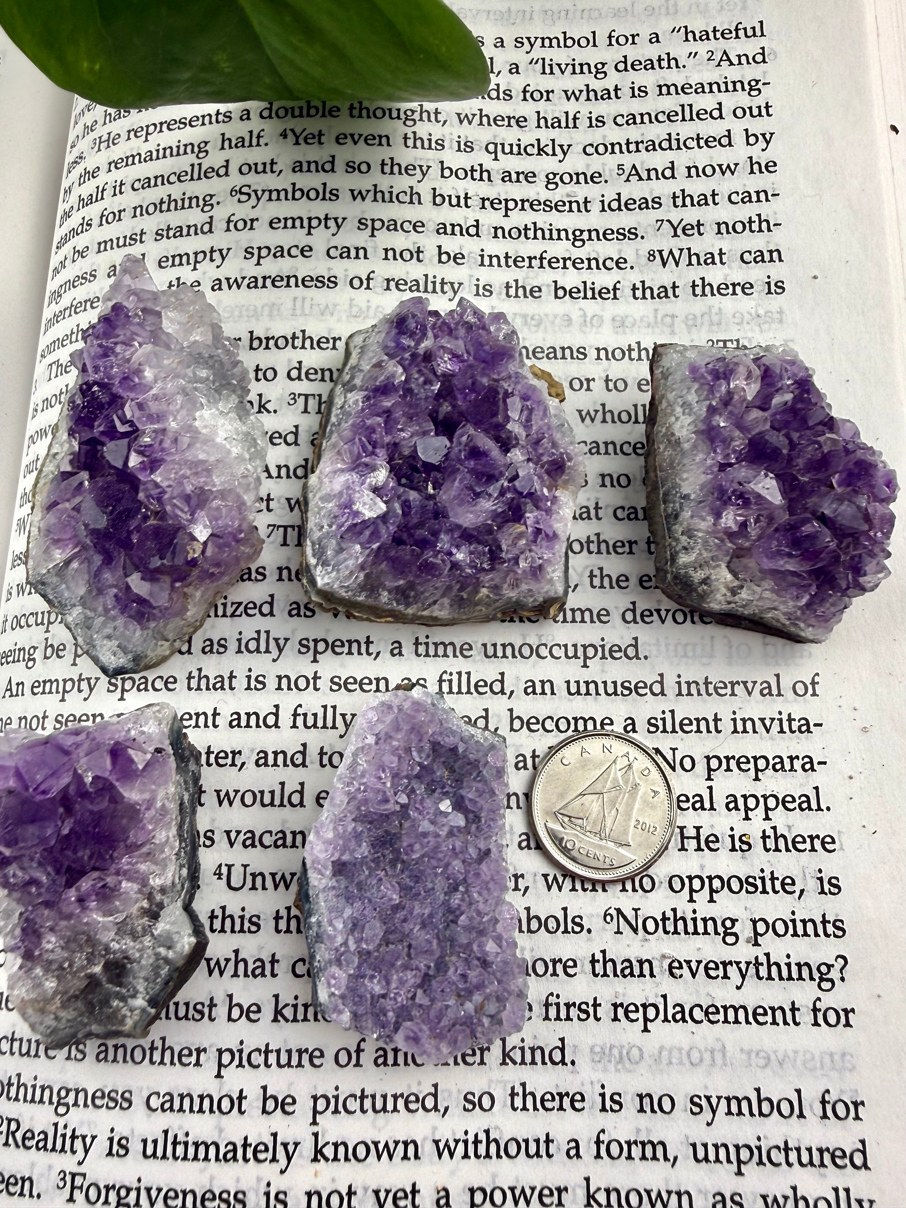 5 amethyst mini clusters with dime to show sizing