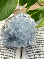 Celestite cluster on book with leaves