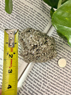 pyrite with measuring tape showing it to be about 2 " high 