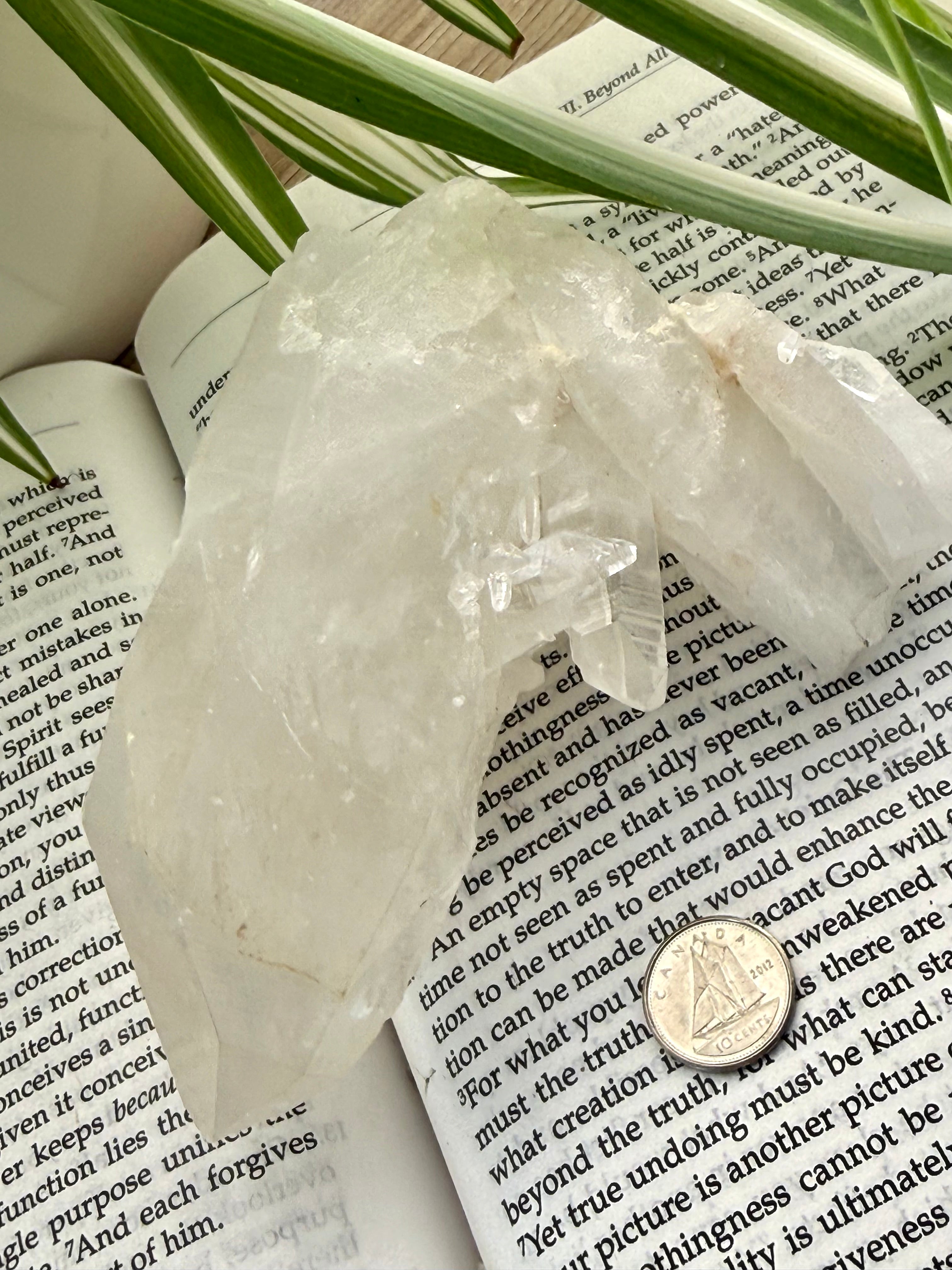 Quartz crystal on an open book with a coin