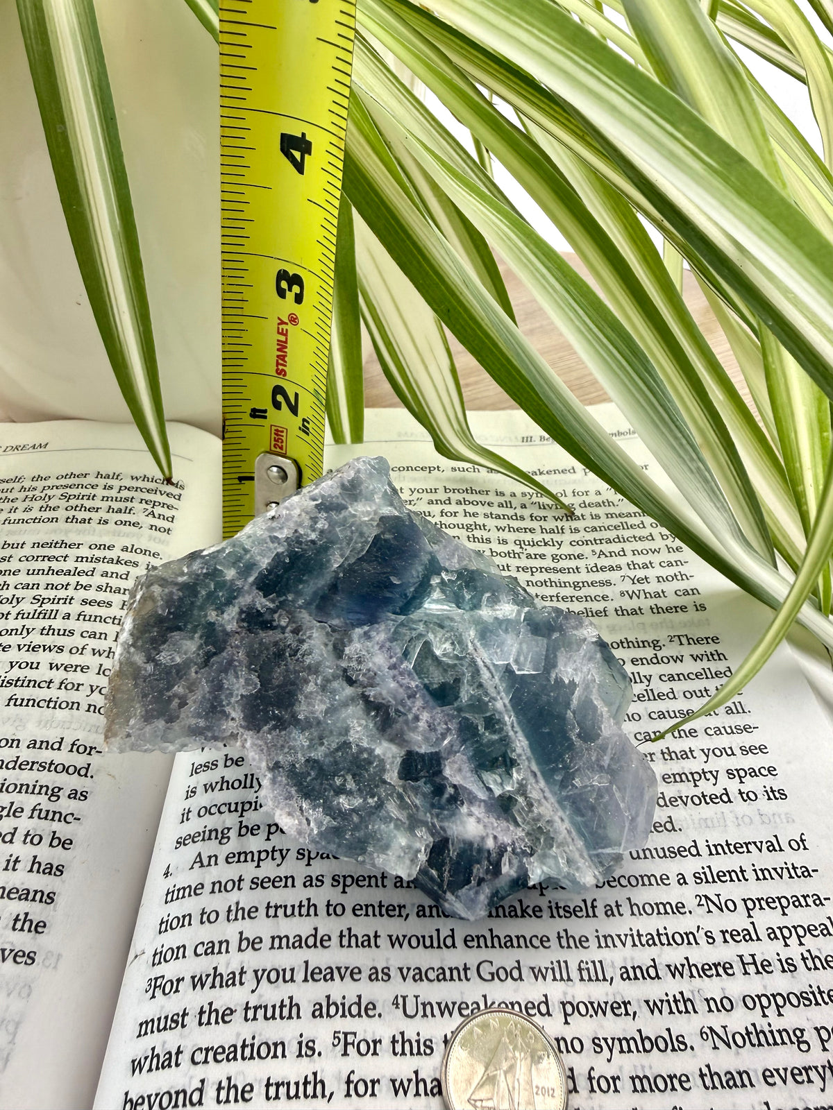 Raw Fluorite crystal on an open book with a plant in the background