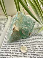 Fluorite crystal on an open book with a plant in the background