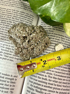 Pyrite with measuring tape showing it to be about t3 inches long