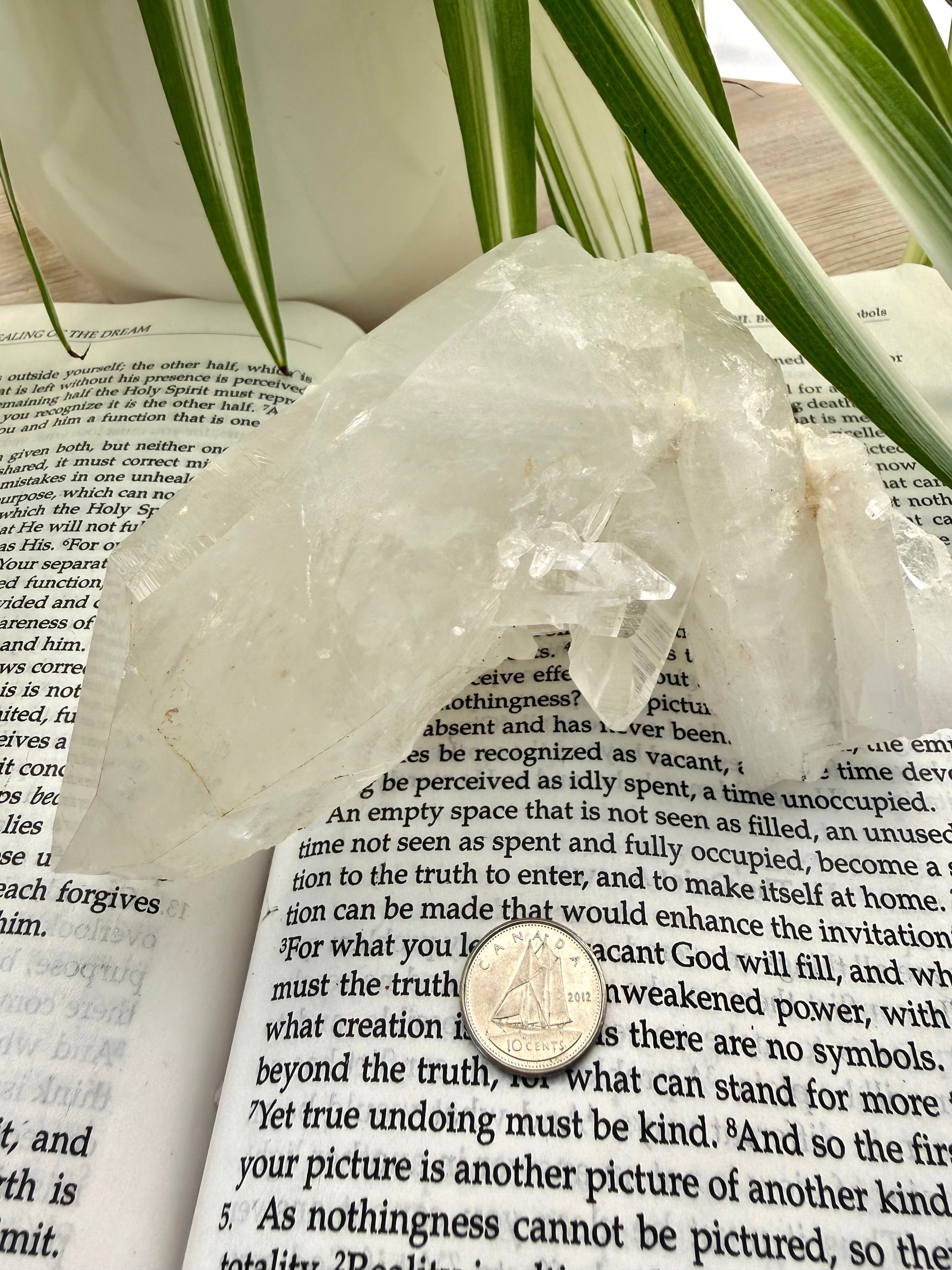 Clear quartz crystal on an open book with a coin underneath, surrounded by green leaves.