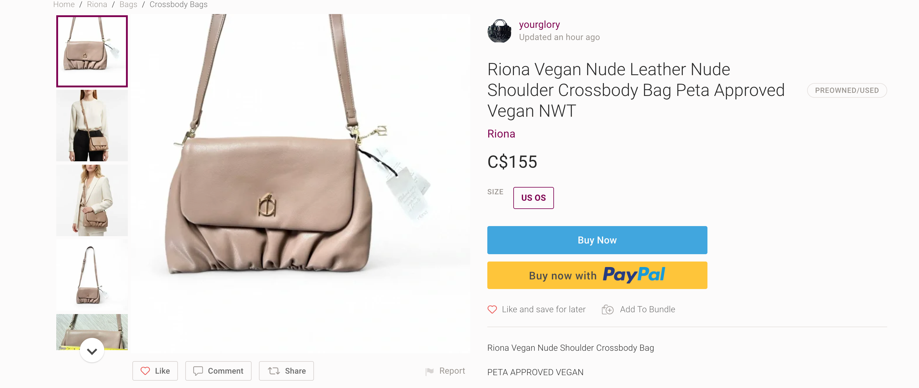 Riona Sage Green Crossbody Bag | RFID  protection travel purse shown here NWT resale for $155!