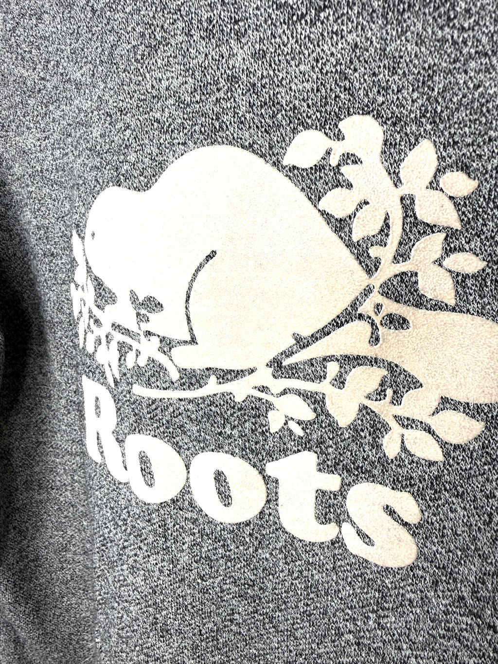 Roots Canada Pullover Hoodie at Blue Sparrow Shop 