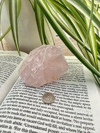 Rose quartz crystal on an open book with green leaves in the background