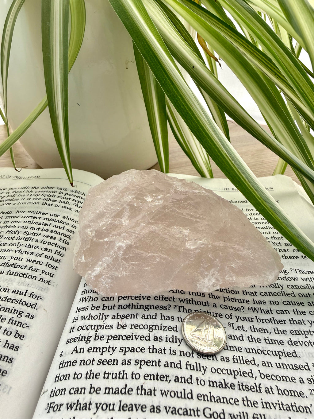 rose quartz on a book with leaves 