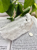 Selenite crystal on an open book with green leaves in the background