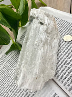White selenite crystal on an open book with a plant in the background