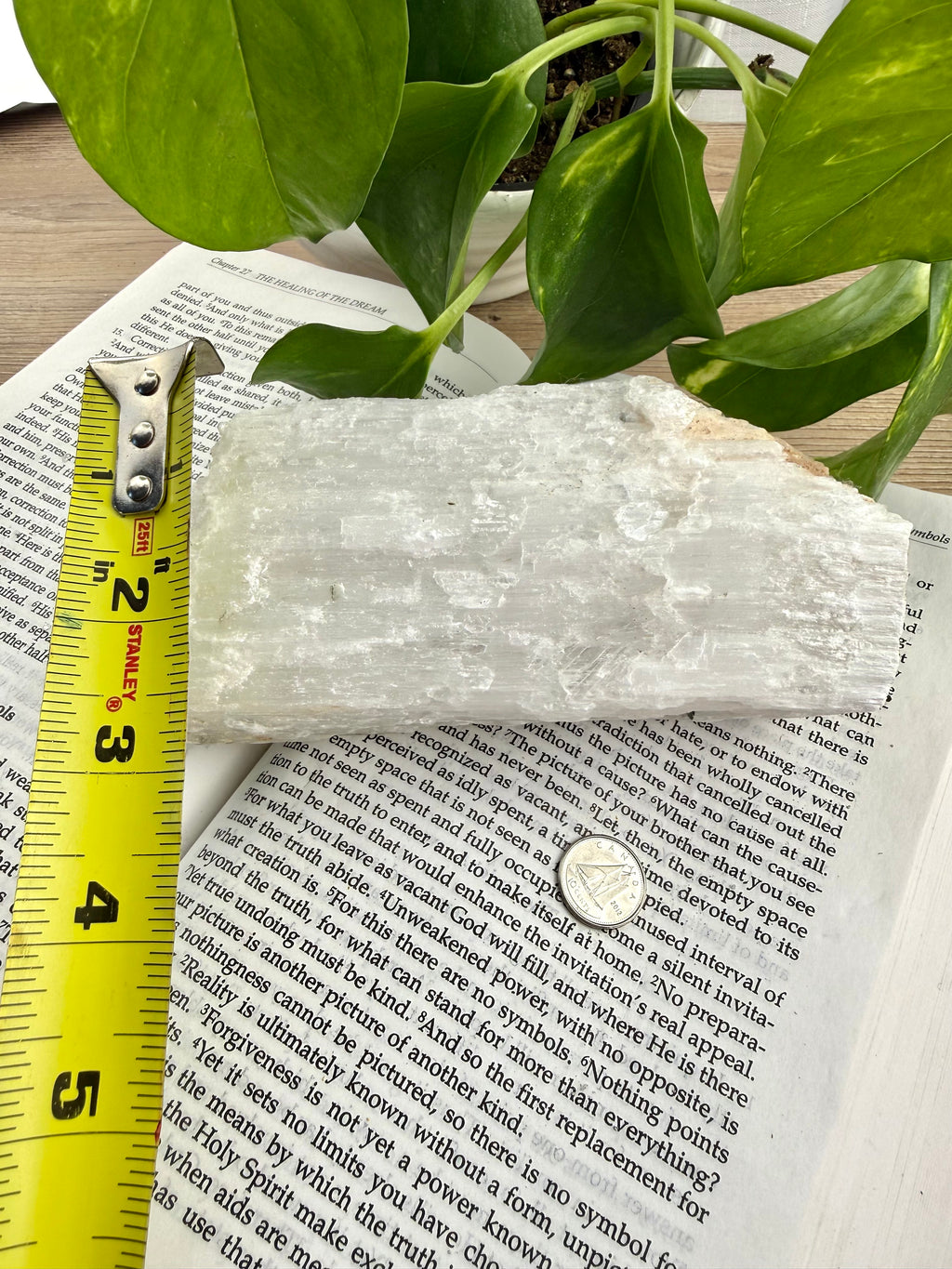 Selenite Crystal on an open book with a measuring tape for scale, next to green leaves. measures approx 3" deep