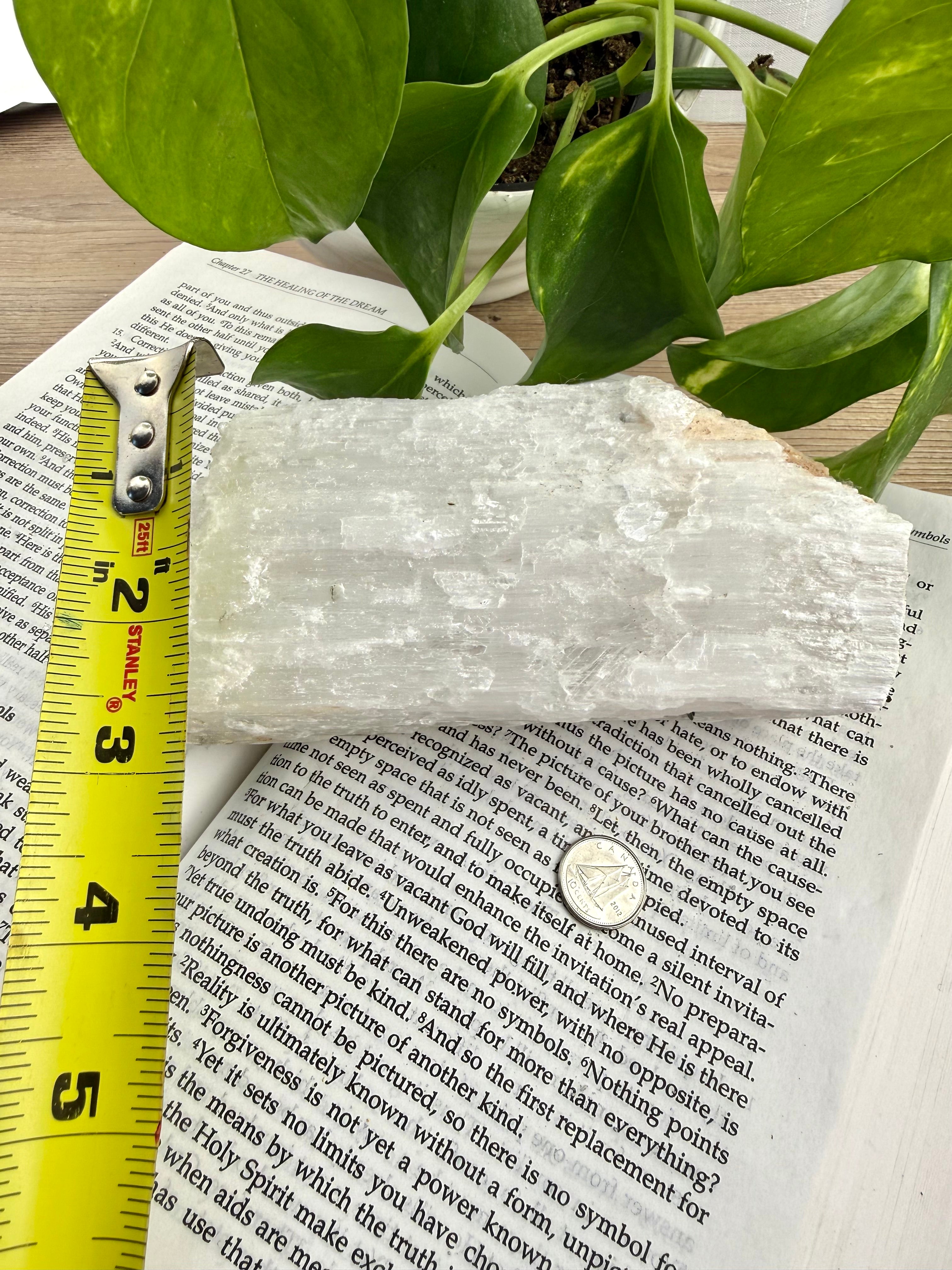 Selenite Crystal on an open book with a measuring tape for scale, next to green leaves. measures approx 3" deep