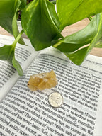 yellow fluorite on open book with dime and leaves