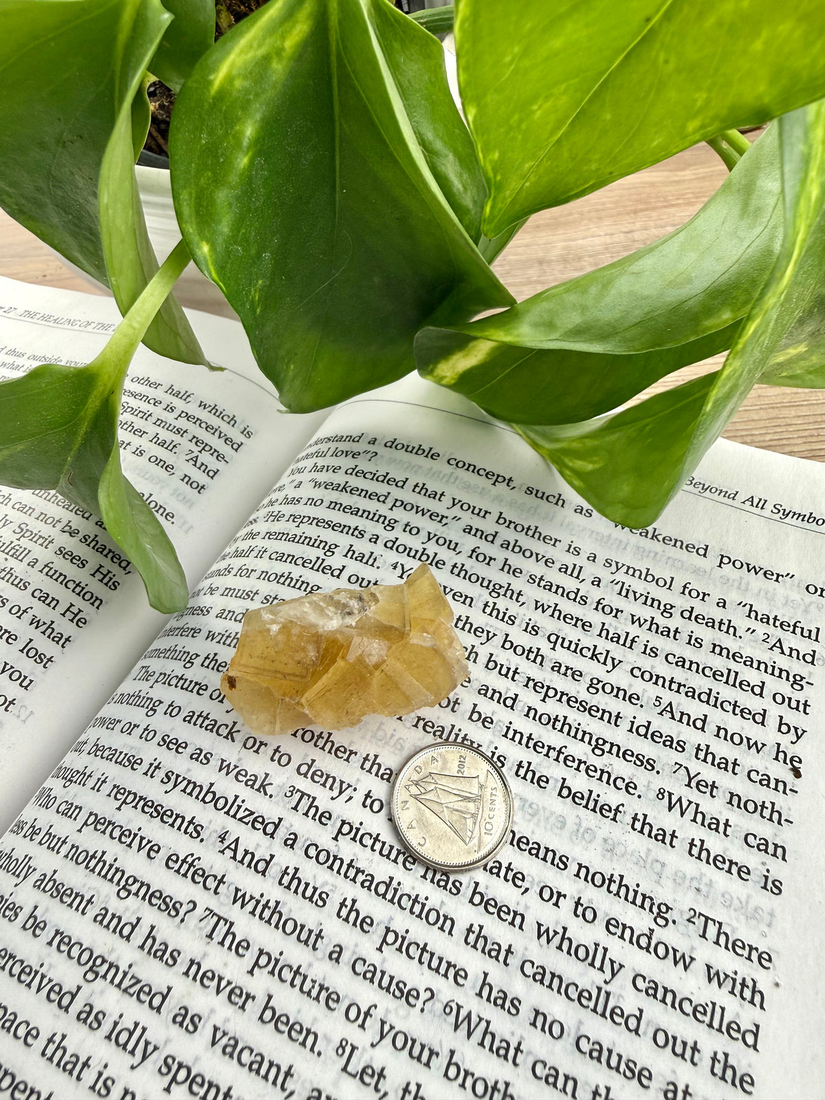 yellow fluorite on open book with dime and leaves