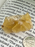 small yellow fluorite cluster on book 
