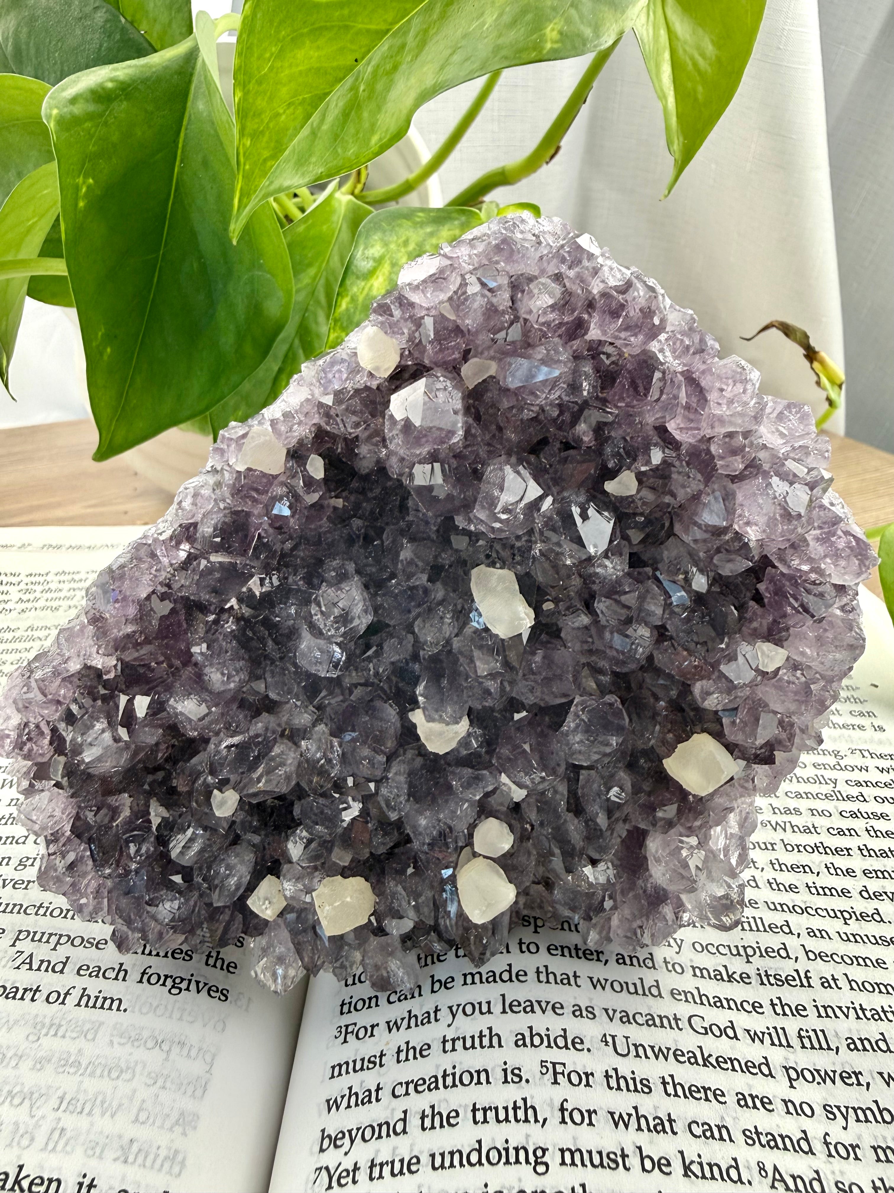 Photo of standing amethyst cluster on book with plant
