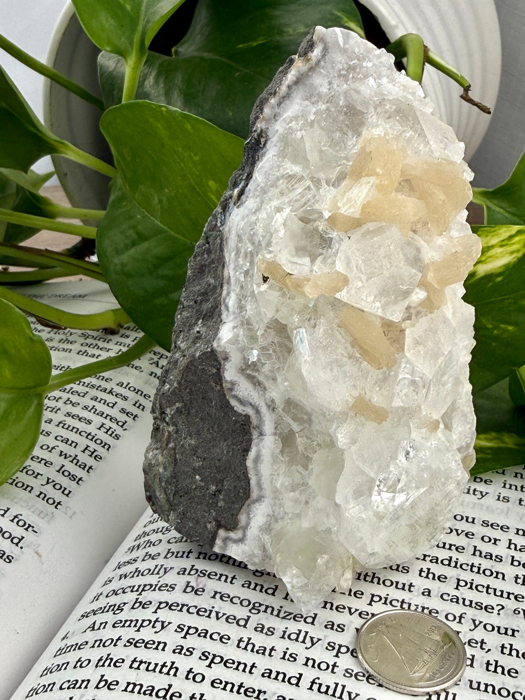 apophyllite standing on book with dime for scale 