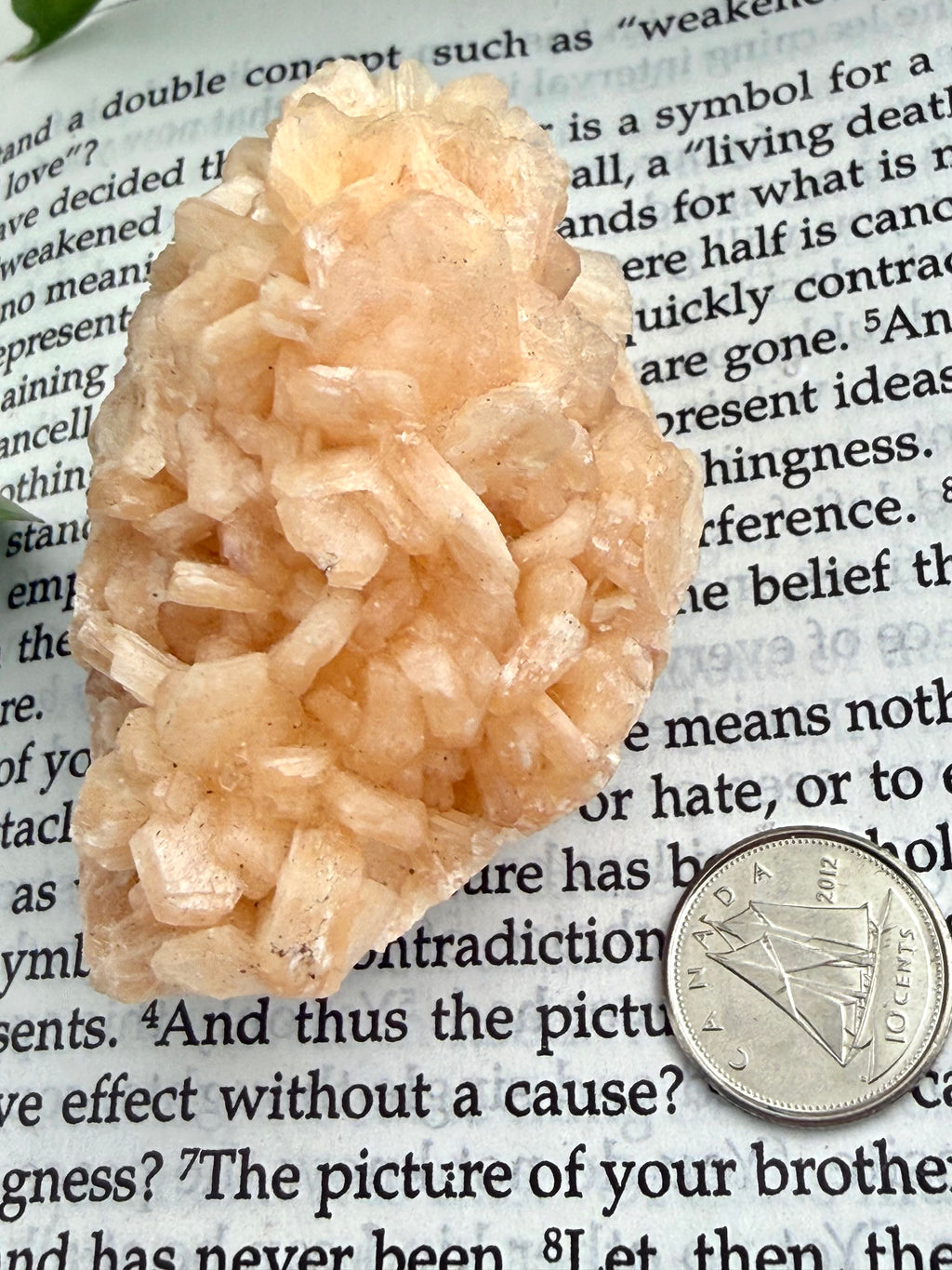 Stilbite crystal rock on a piece of paper with text