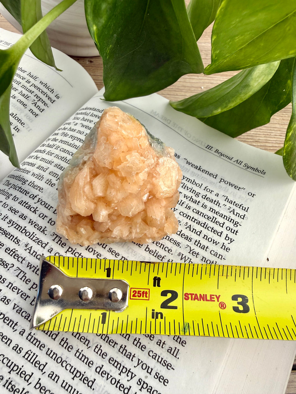 stilbite with ruler showing it to be about 2"wide at the standing base