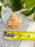 stilbite with ruler showing it to be about 2"wide at the standing base