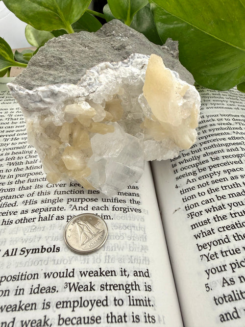 Apophyllite crystal on a book with a dime to show scale 