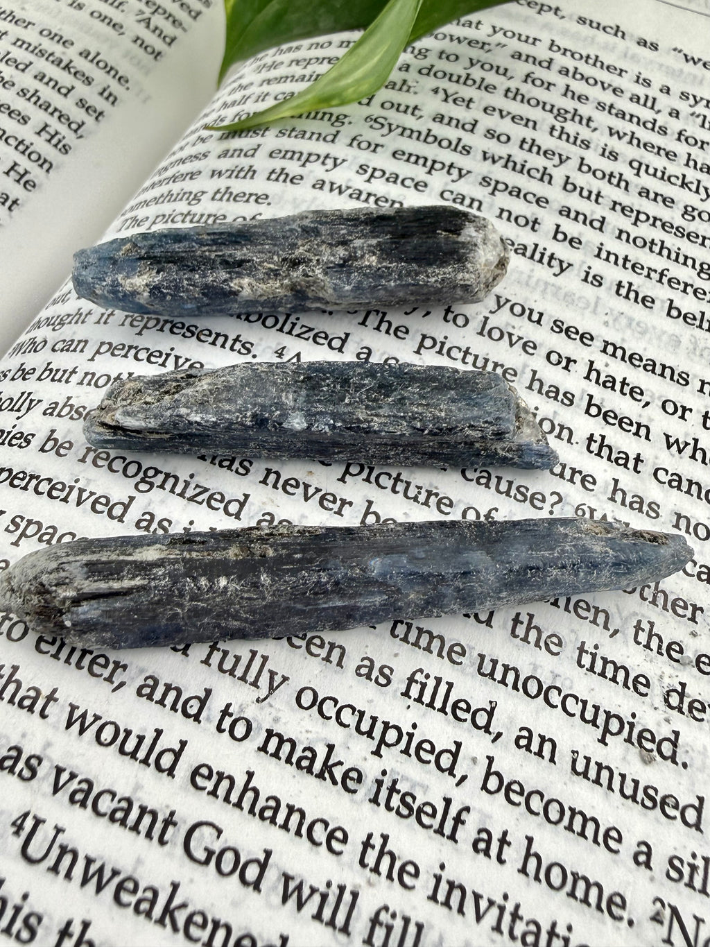 Blue /Black stones on a book with text