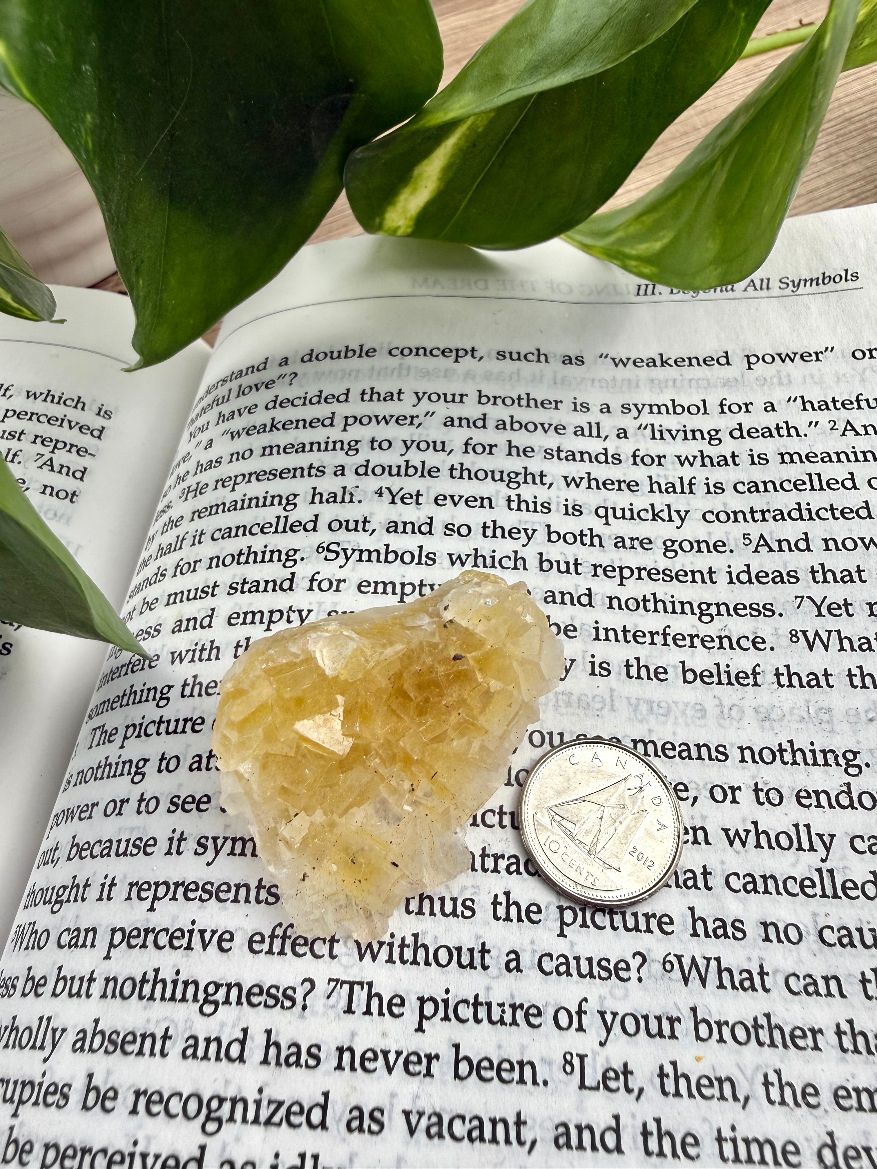fluorite - yellow - on book with dime for scale 
