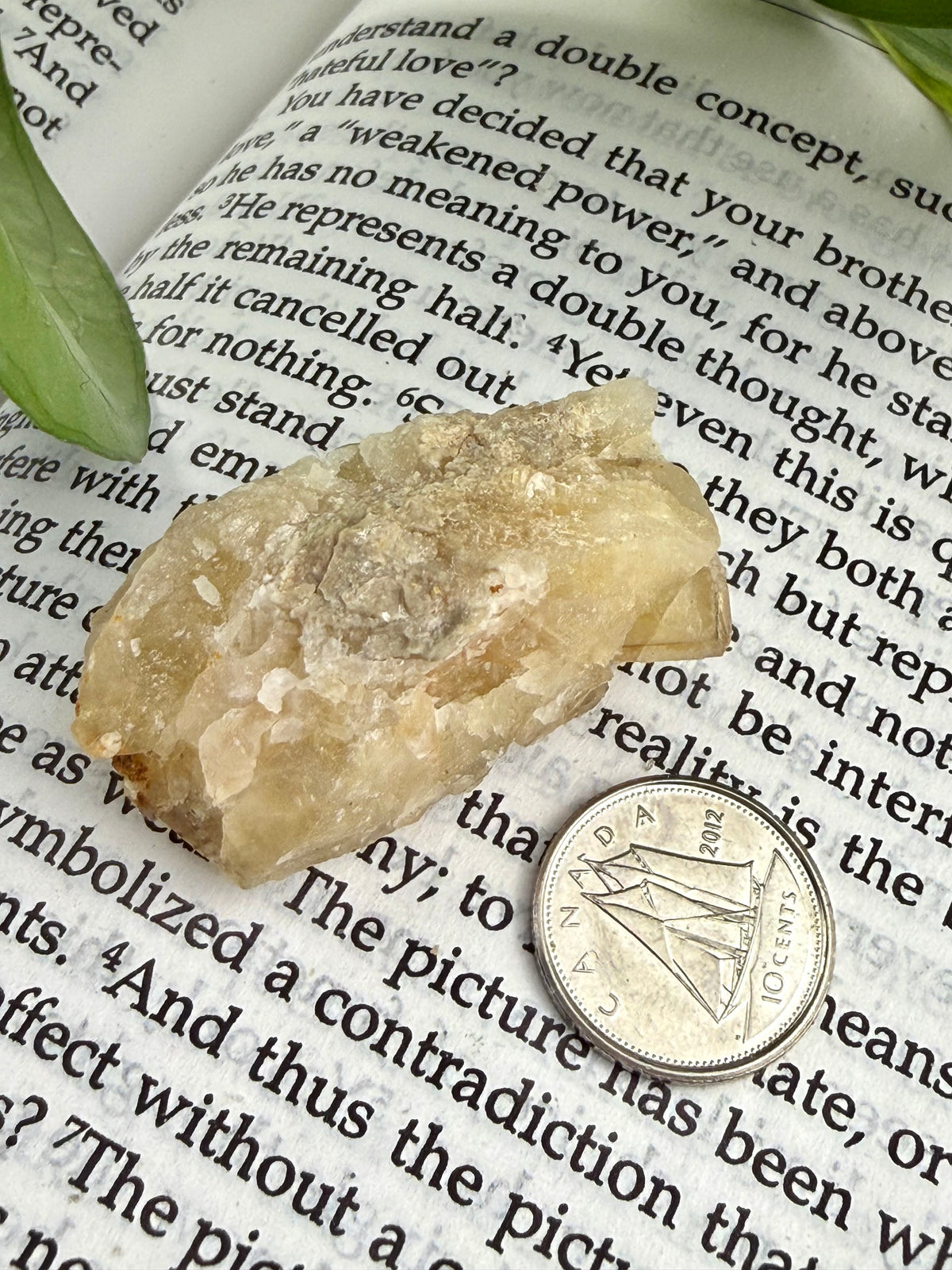 bottom of yellow fluorite cluster  on book with dime for scale 