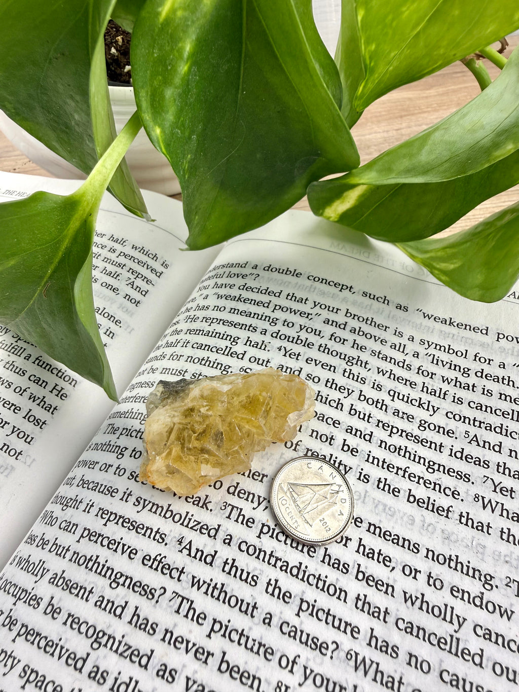 yellow fluorite on open book with dime to show scale 