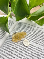 yellow fluorite on open book with dime to show scale 