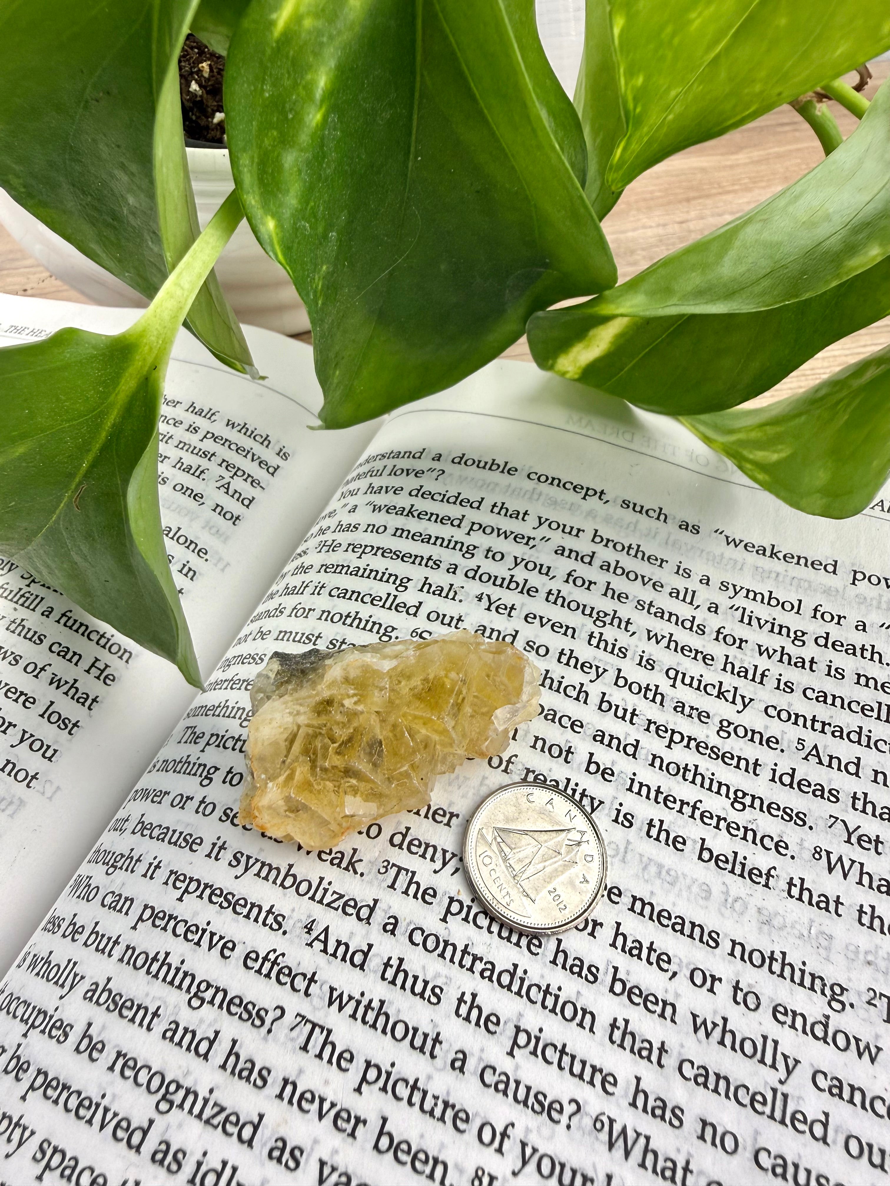 yellow fluorite on open book with dime to show scale 