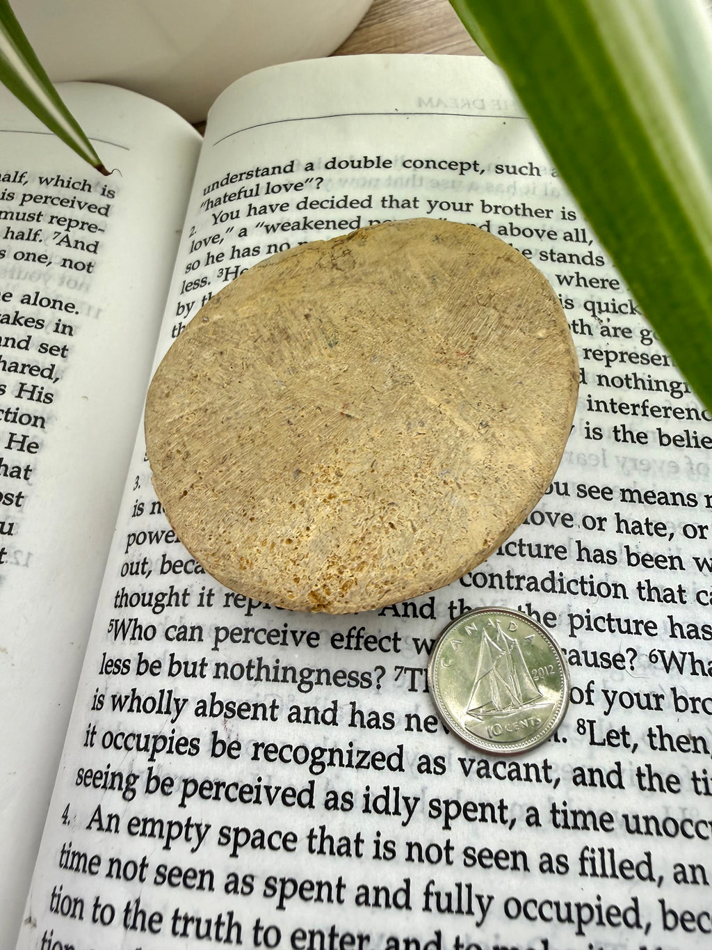 photo showing the bottom of a sand dollar  on an open book with a coin for scale