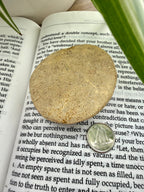 photo showing the bottom of a sand dollar  on an open book with a coin for scale