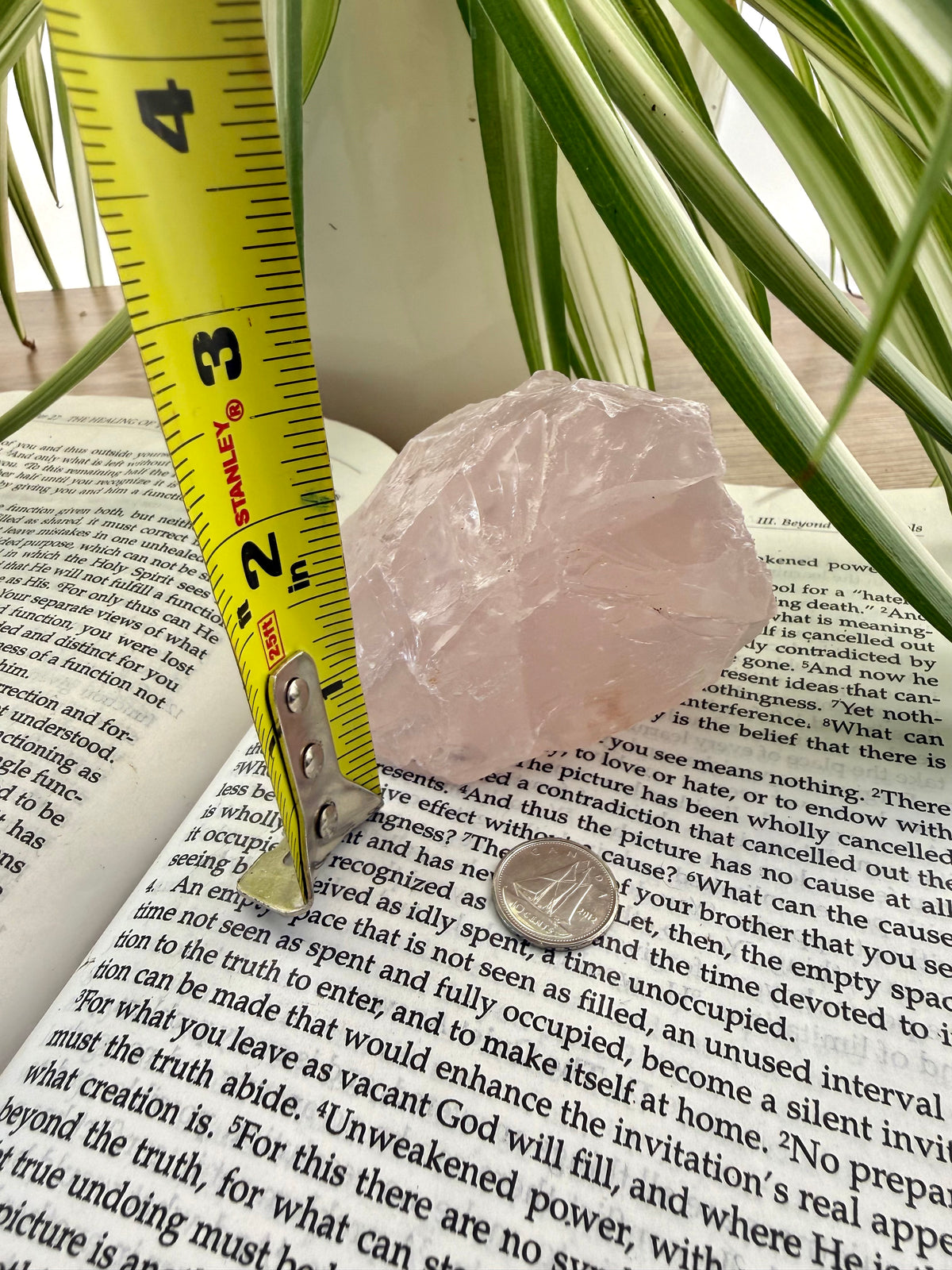 Rose quartz on  a book with a tape measure next to it, surrounded by green leaves
