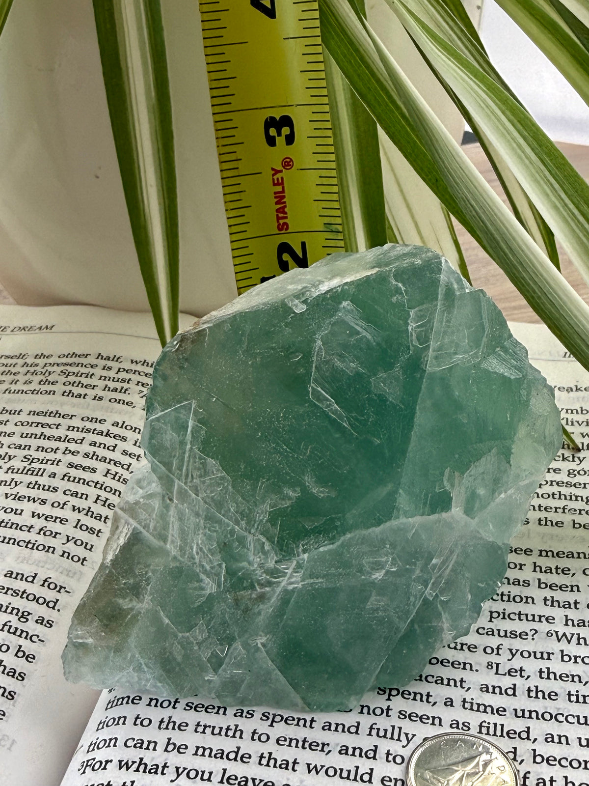 Green fluorite crystal on an open book with a ruler in the background