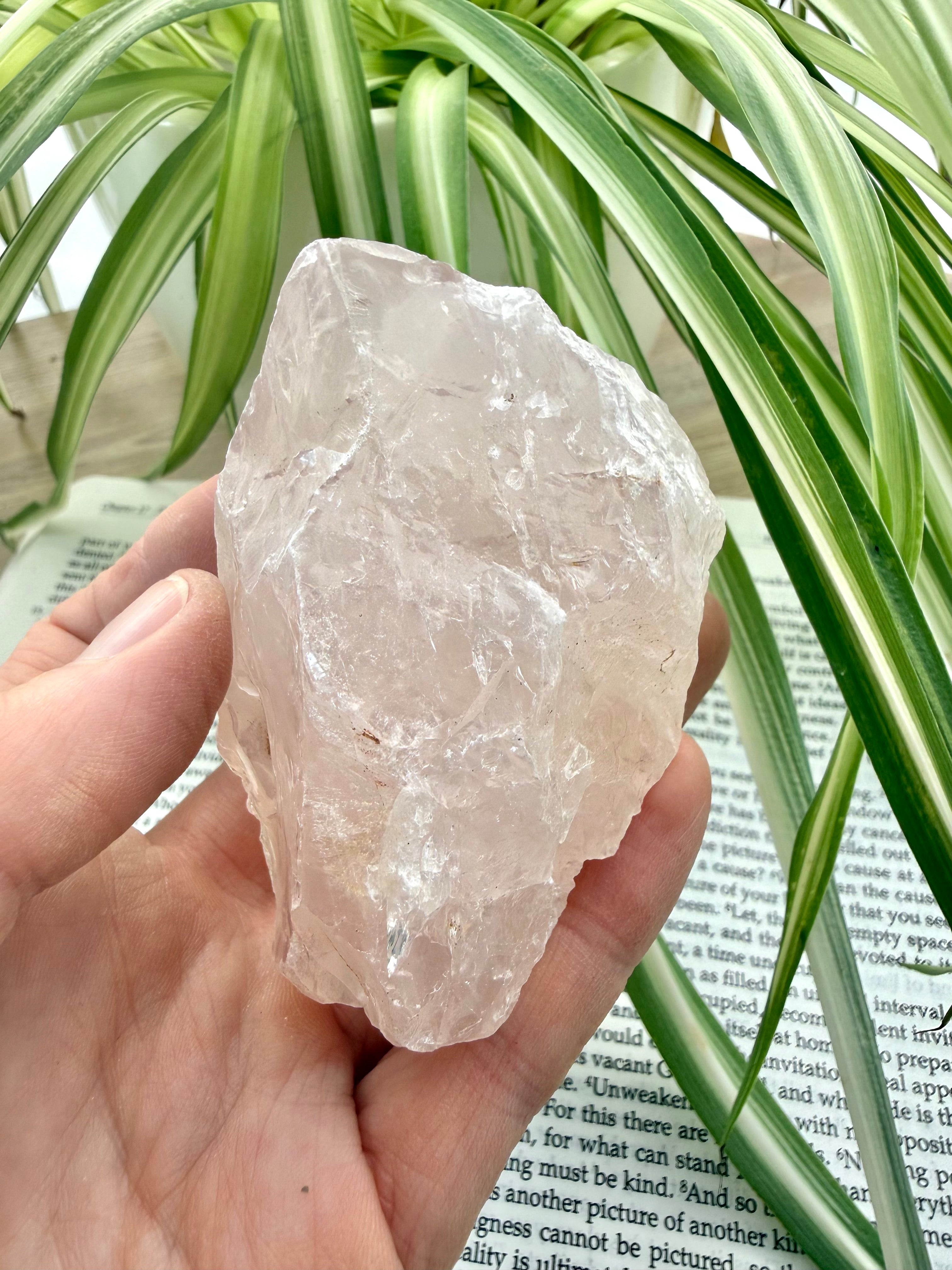 Hand holding a rose quartz crystal in front of a plant