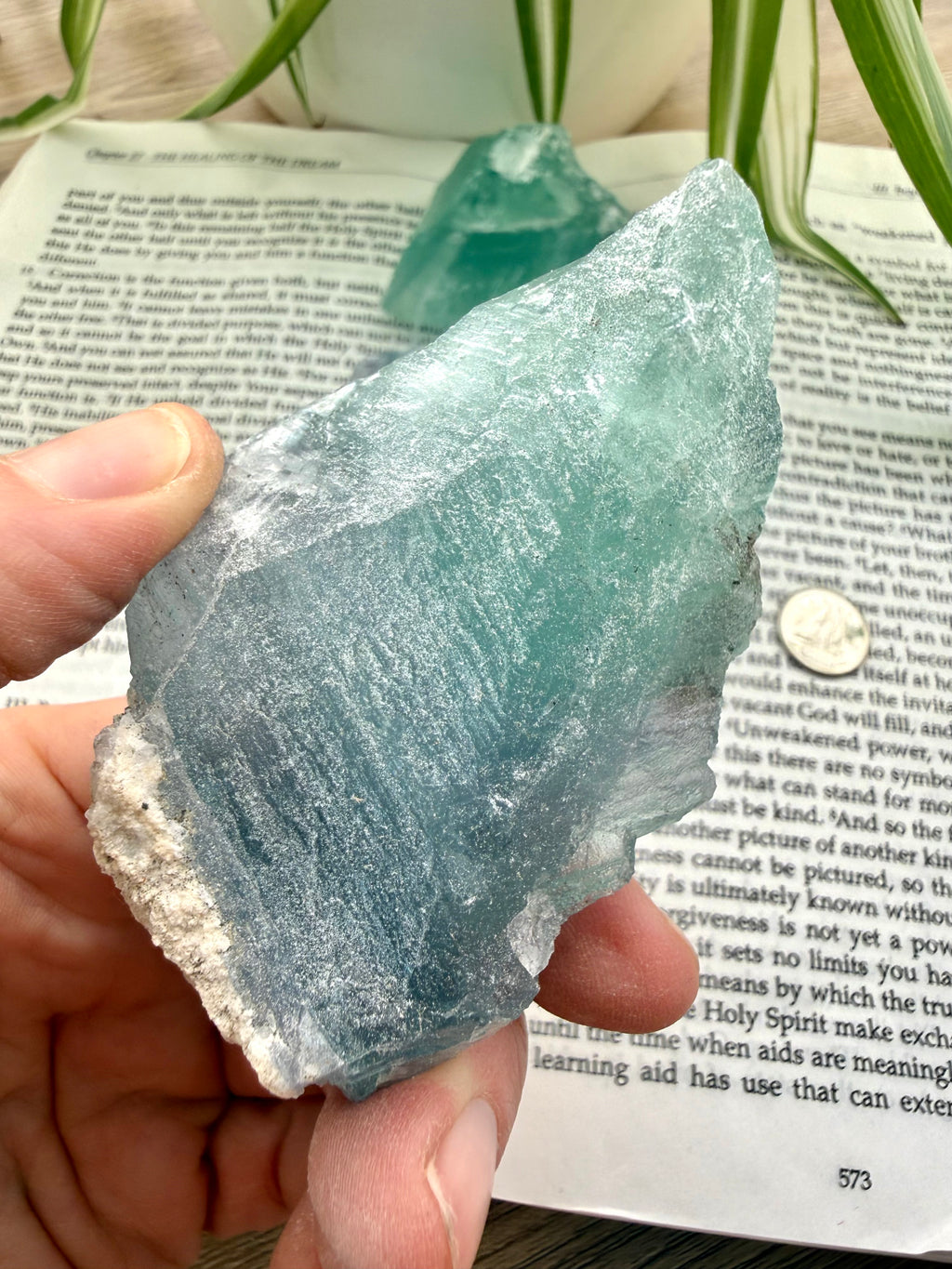 Fluorite  crystal held by a hand on an open book with plants in the background