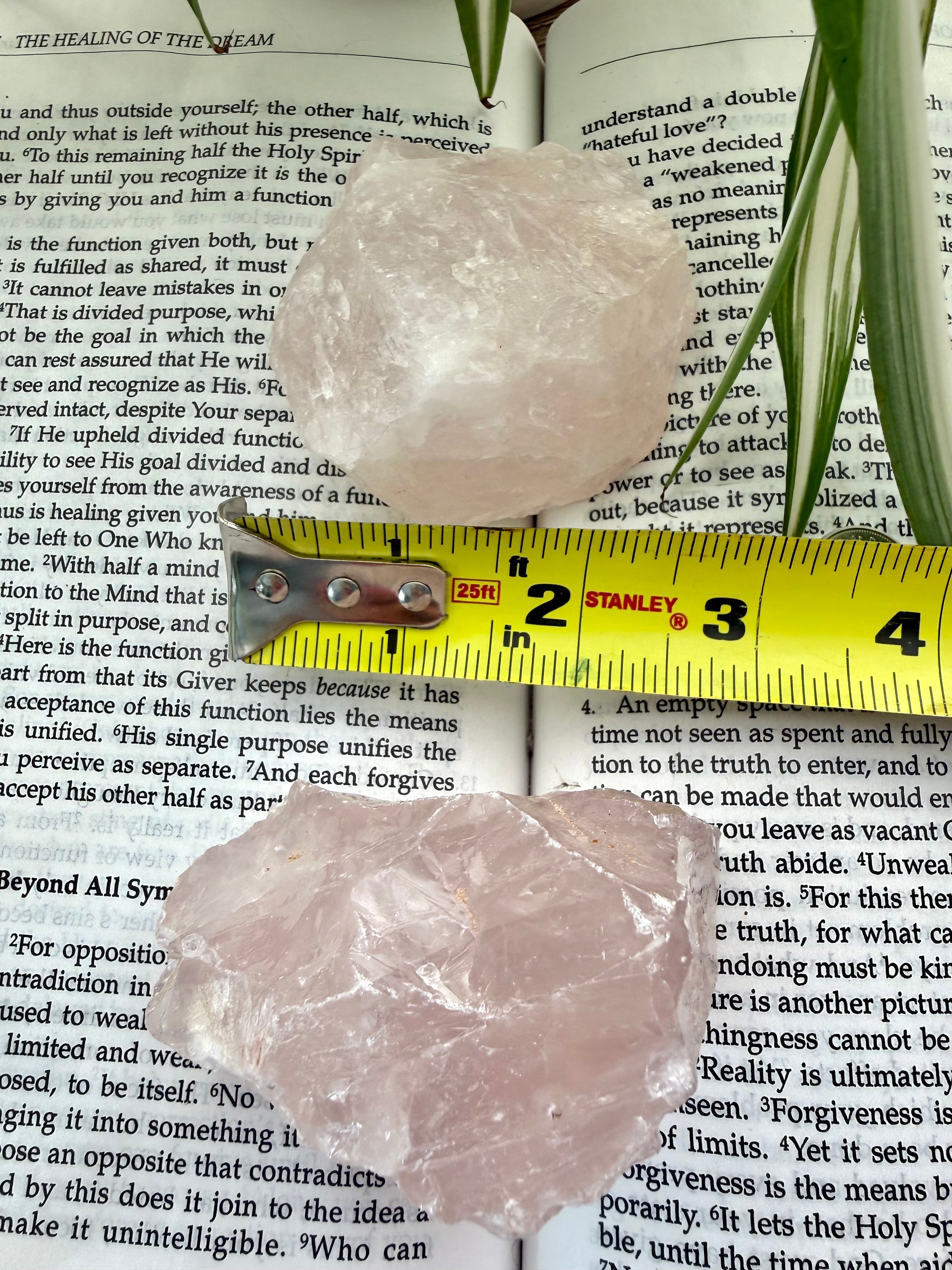 Two rose quartz crystals  on a piece of paper with text, measured by a yellow Stanley tape measure.