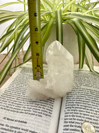 Tape measure on a book with a plant in the background measuring a standing quartz point