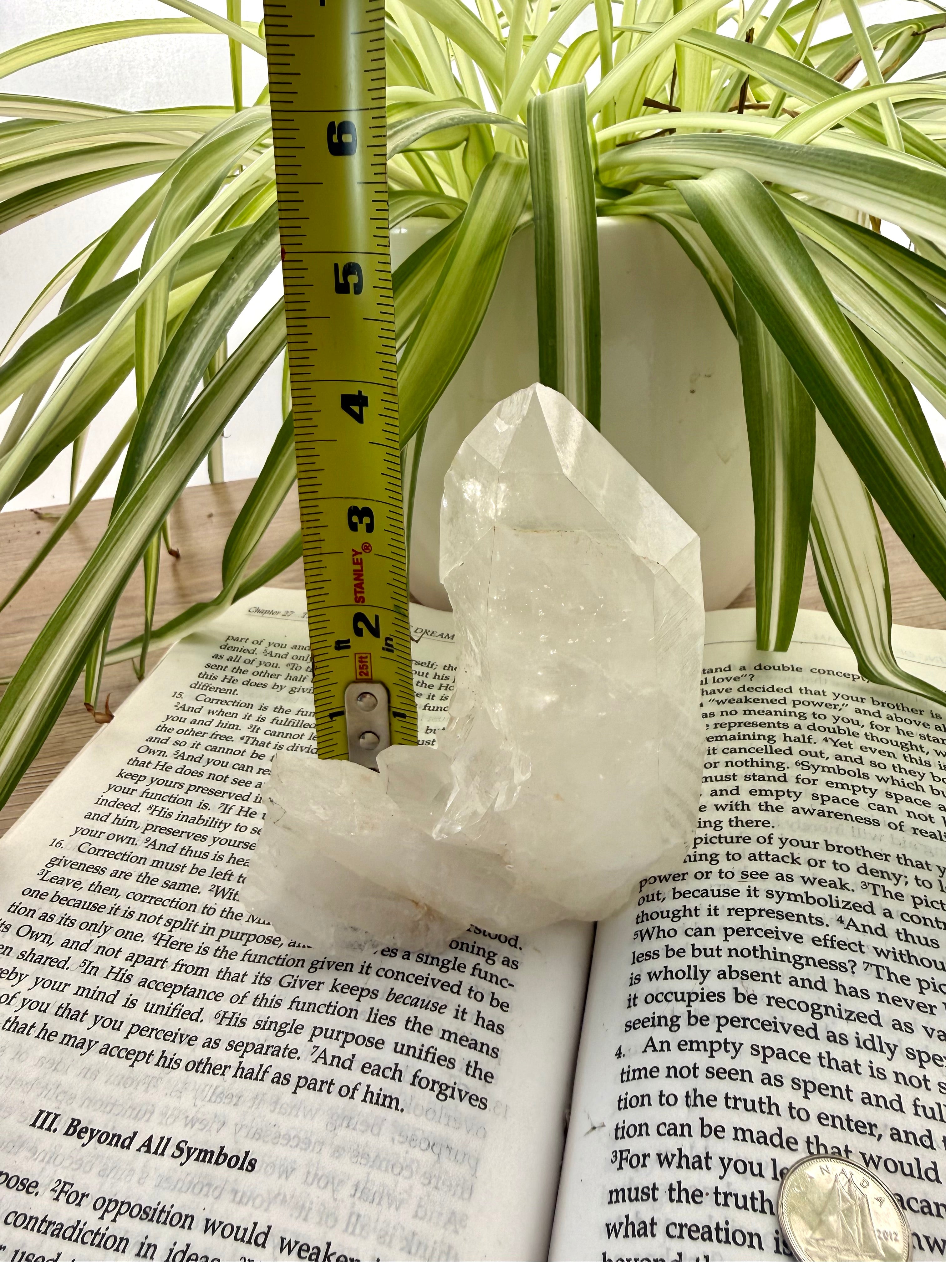 Tape measure on a book with a plant in the background measuring a standing quartz point