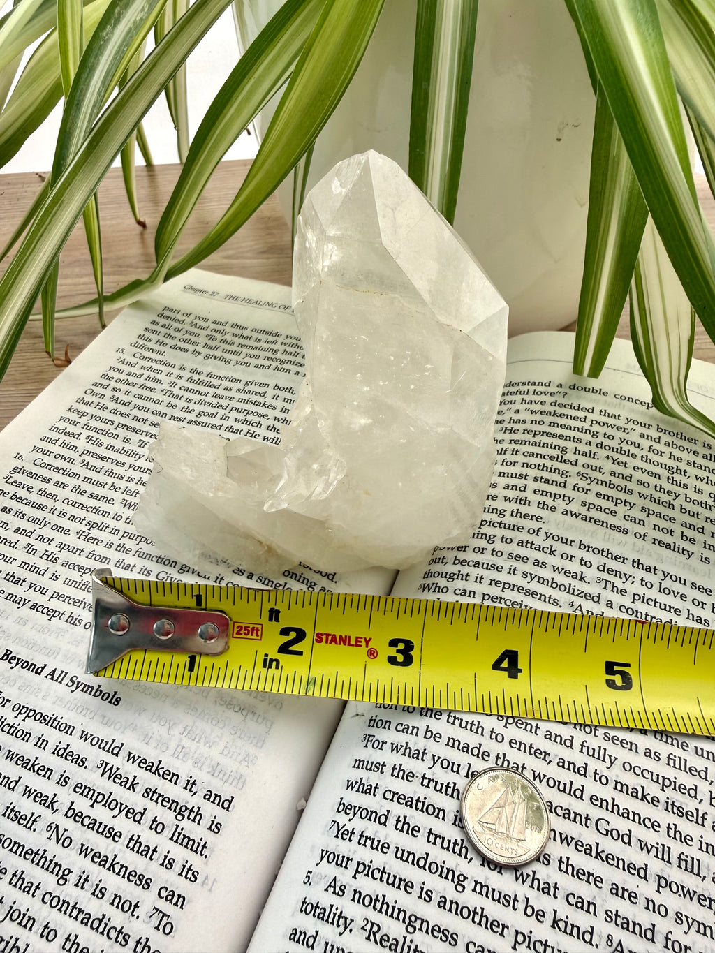 Quartz crystal on an open book with a ruler for scale, surrounded by green plants.