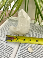 Quartz crystal on an open book with a ruler for scale, surrounded by green plants.