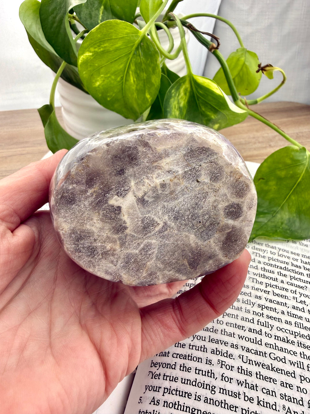 Hand holding a textured stone over an open book with green leaves in the background - shows the bottom of the chevron amethyst pillar 